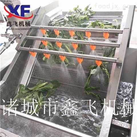 蔬菜漂烫机 蔬菜预煮机 蔬菜杀青机